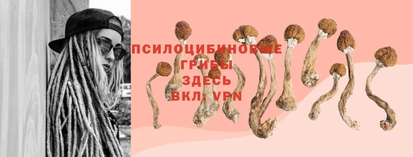 хмурый Приозерск