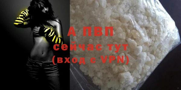 прущие грибы Пролетарск