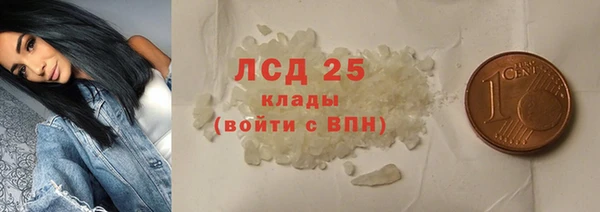 гидра Аркадак