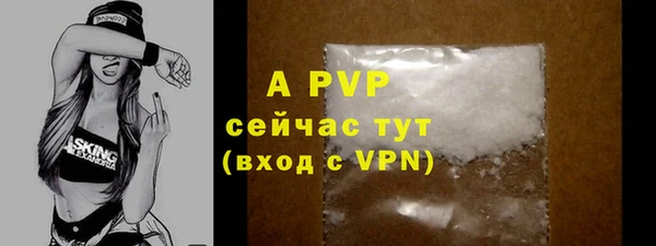 прущие грибы Пролетарск