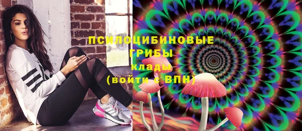 твердый Протвино