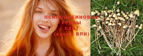 твердый Протвино