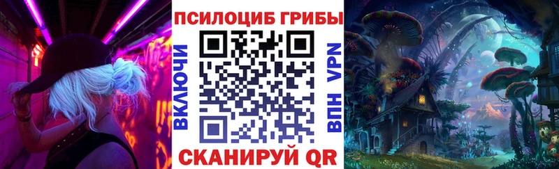 MEGA как войти Бавлы Псилоцибиновые грибы Magic Shrooms